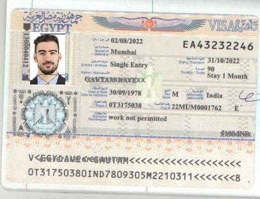 Egypt Business  Visa cochin